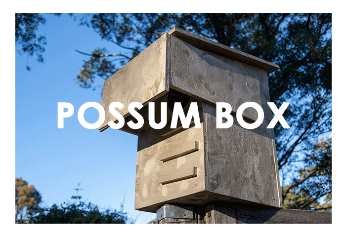 How to build a possum box